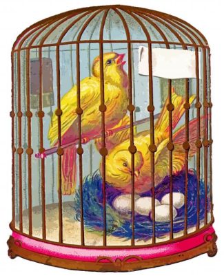 Canary Birds In Cage diamond painting