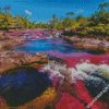 Cano Cristales Columbia 2 diamond painting