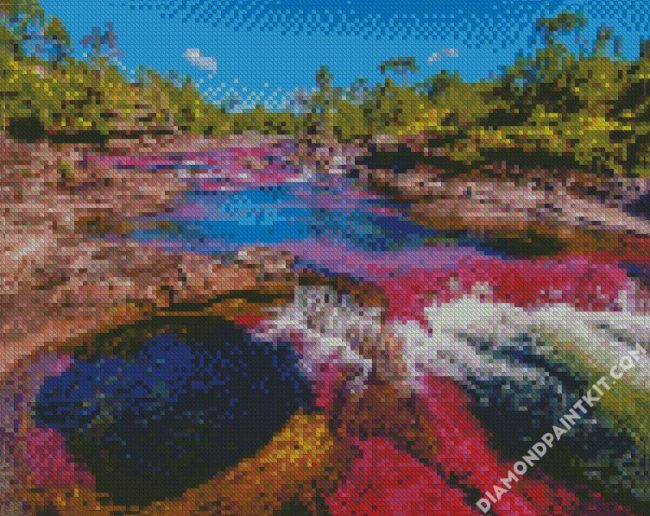 Cano Cristales Columbia 2 diamond painting