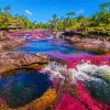 Cano Cristales Columbia 2 diamond painting