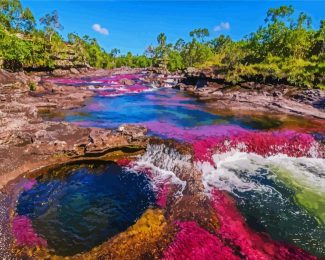 Cano Cristales Columbia 2 diamond painting