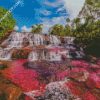 Cano Cristales Columbia diamond painting