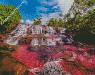 Cano Cristales Columbia diamond painting