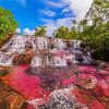 Cano Cristales Columbia diamond painting