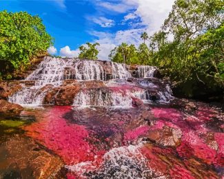 Cano Cristales Columbia diamond painting