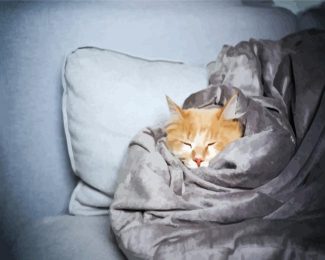 Cat Sleeping In A Blanket diamond painting