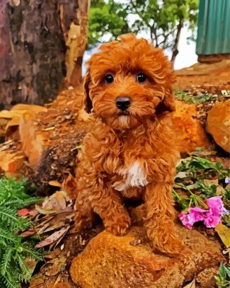 Cavoodle Puppy diamond painting