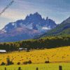 Cerro Castillo Chile diamond painting