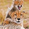 Cheetah And Young Cub diamond painting