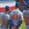 Chicago Cubs Players diamond painting