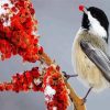 Chickadee Bird Eating diamond painting