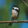 Chickadee Cute Bird diamond painting