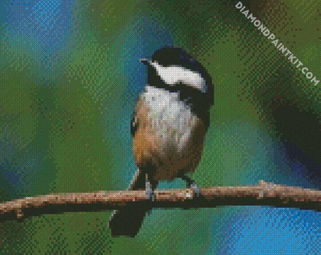 Chickadee Cute Bird diamond painting