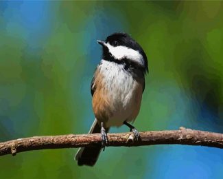 Chickadee Cute Bird diamond painting