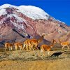 Chimborazo diamond painting