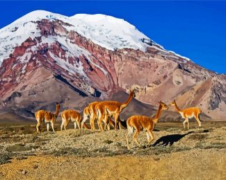 Chimborazo diamond painting