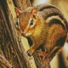 Chipmunks Animal In Tree diamond painting