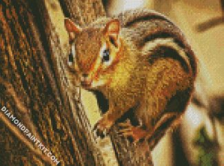 Chipmunks Animal In Tree diamond painting