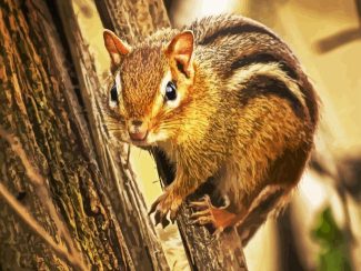 Chipmunks Animal In Tree diamond painting