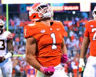 Clemson Tigers Football Player diamond painting