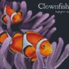 ClownFish diamond Painting