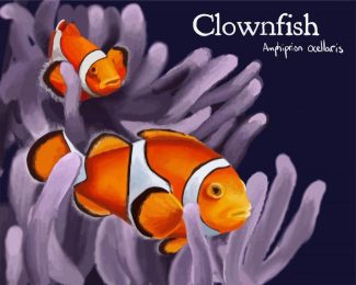 ClownFish diamond Painting