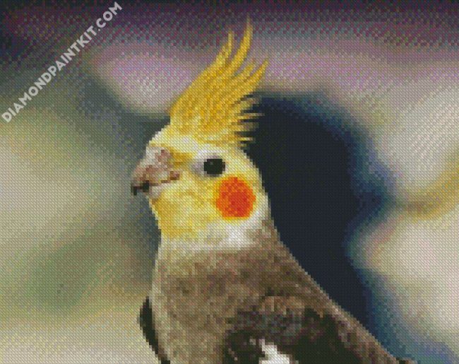 Cockatiel Bird diamond painting