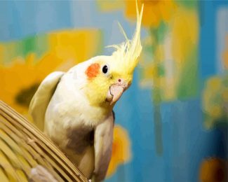 Cockatiel diamond painting