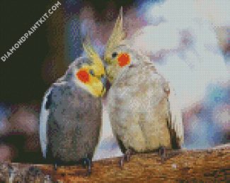 Cockatiel Lovers diamond painting