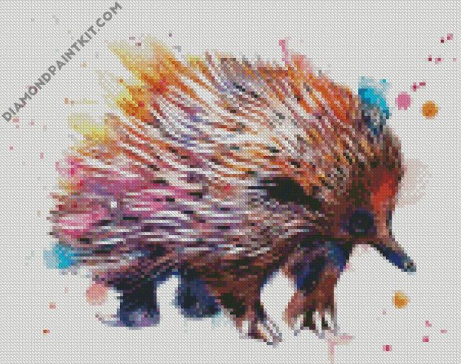 Colorful Echidna diamond paintings