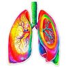 Colorful Lungs diamond painting