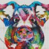 Colorful Pig diamond painting