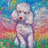 Colorful Poodle Dog diamond paintings