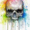 Colorful Skull Art diamond painting