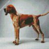 Coonhound dog diamond paintings