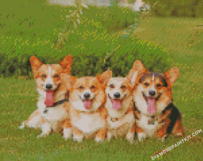 Corgie Puppies diamond paintings