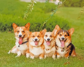 Corgie Puppies diamond painting