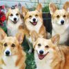 Corgis Animals diamond painting