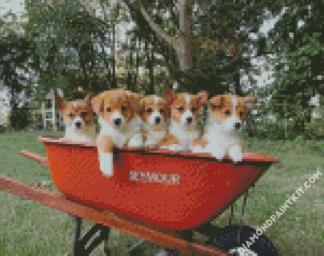 Corgis Little Puppies diamond painting