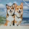 Corgis Puppies Animals diamond painting