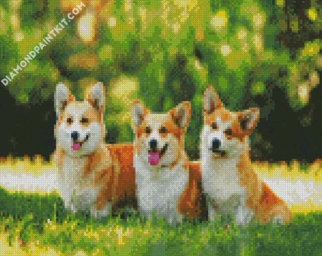 Corgis Puppies diamond painting