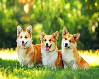 Corgis Puppies diamond painting