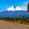 Cotopaxi ecuador diamond painting