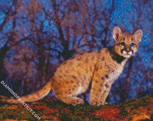 Cougar Cub diamond painting