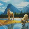 Coyote Drinking Water diamond painting