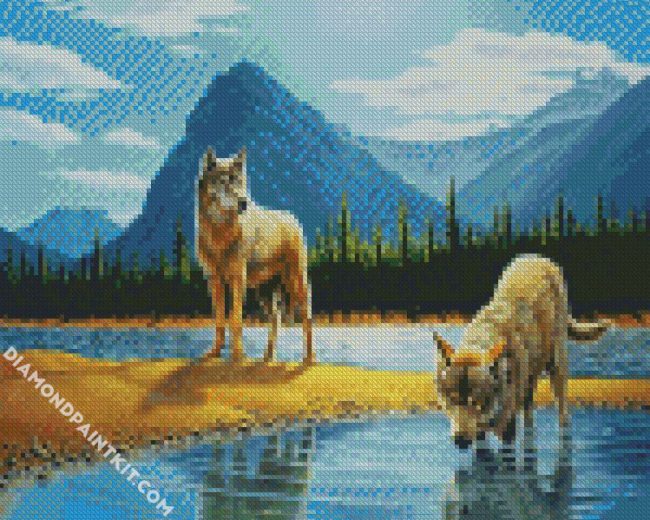 Coyote Drinking Water diamond painting