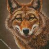 Coyote Face diamond painting