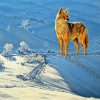 Coyote In Snow diamond painting