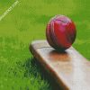 Cricket Ball diamond painting