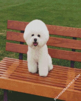 Cute Bichon Frise diamond painting